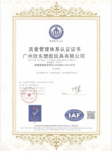 广州欣东ISO9001 中文证书